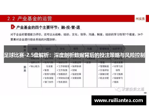 足球比赛-2.5盘解析：深度剖析数据背后的投注策略与风险控制